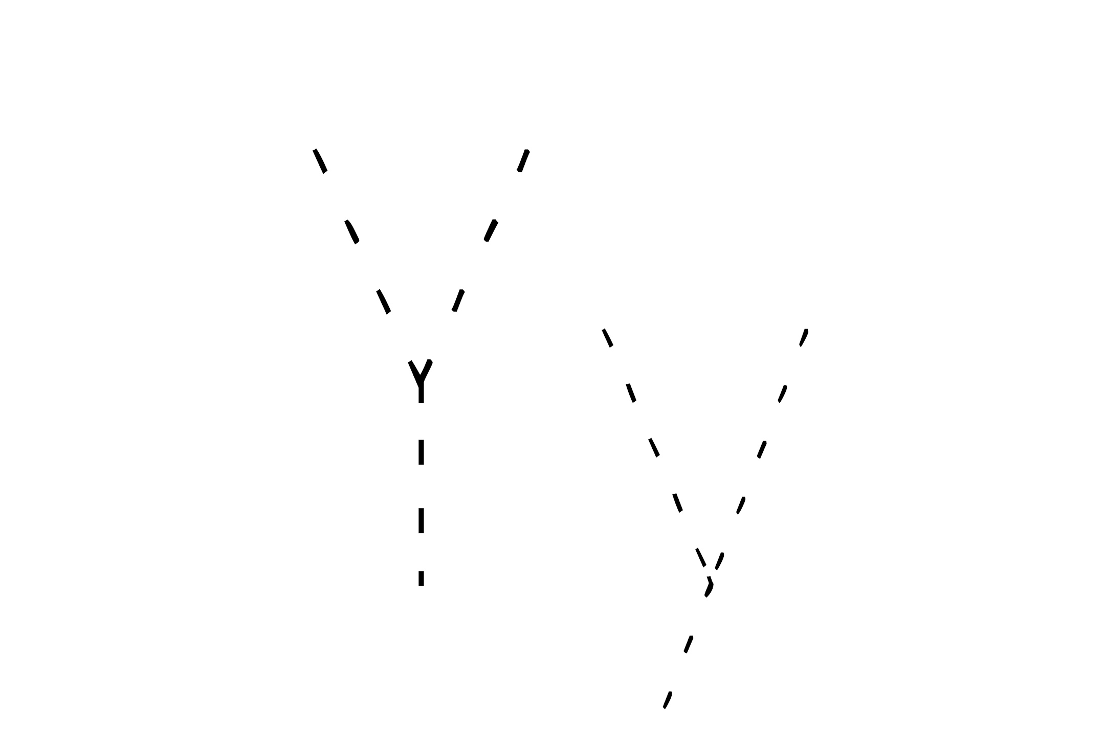 Dashed outline of uppercase Y and lowercase y in the center on a white background.