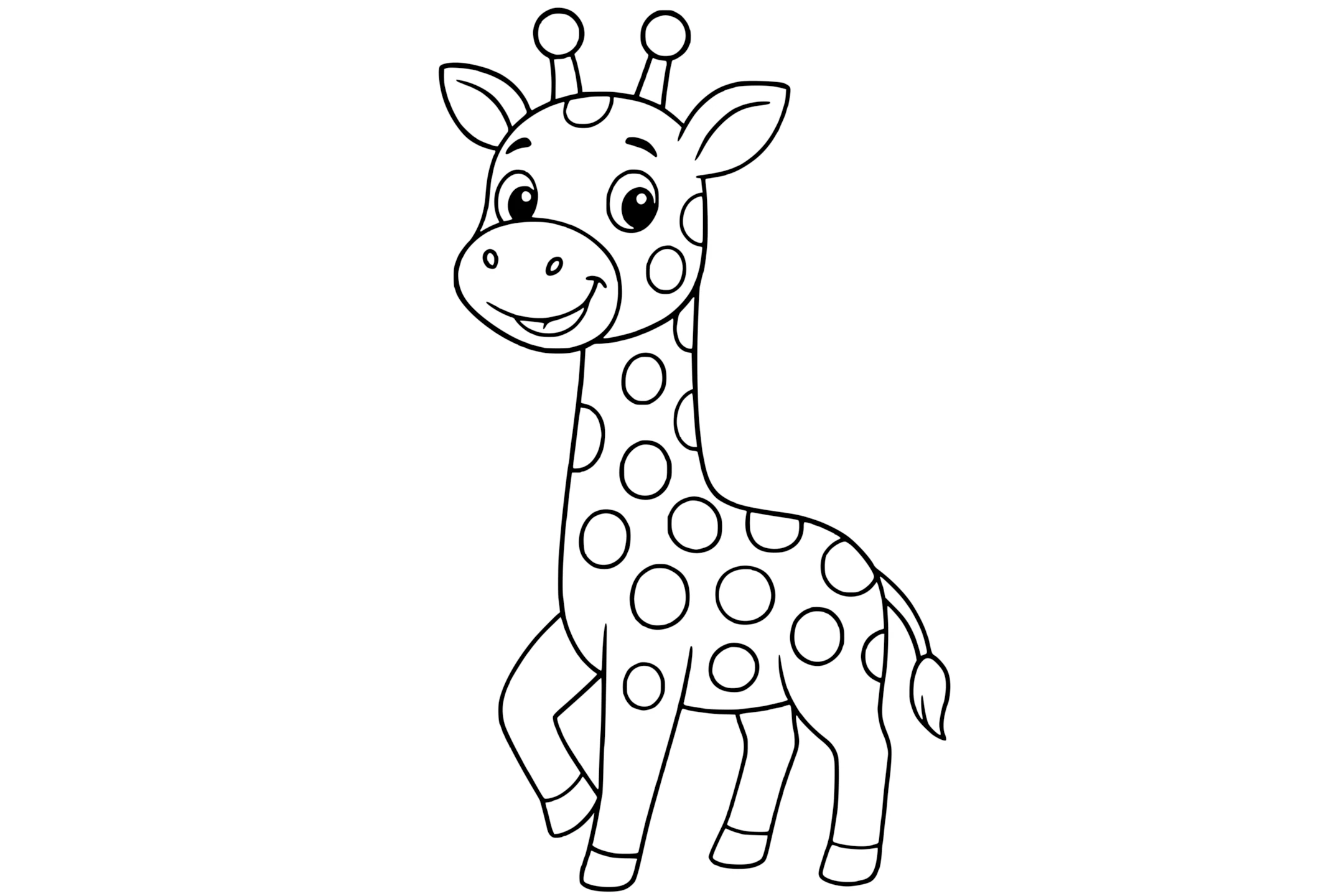 Giraffe with long legs, a short tail, round spots, and antenna-like ossicones.