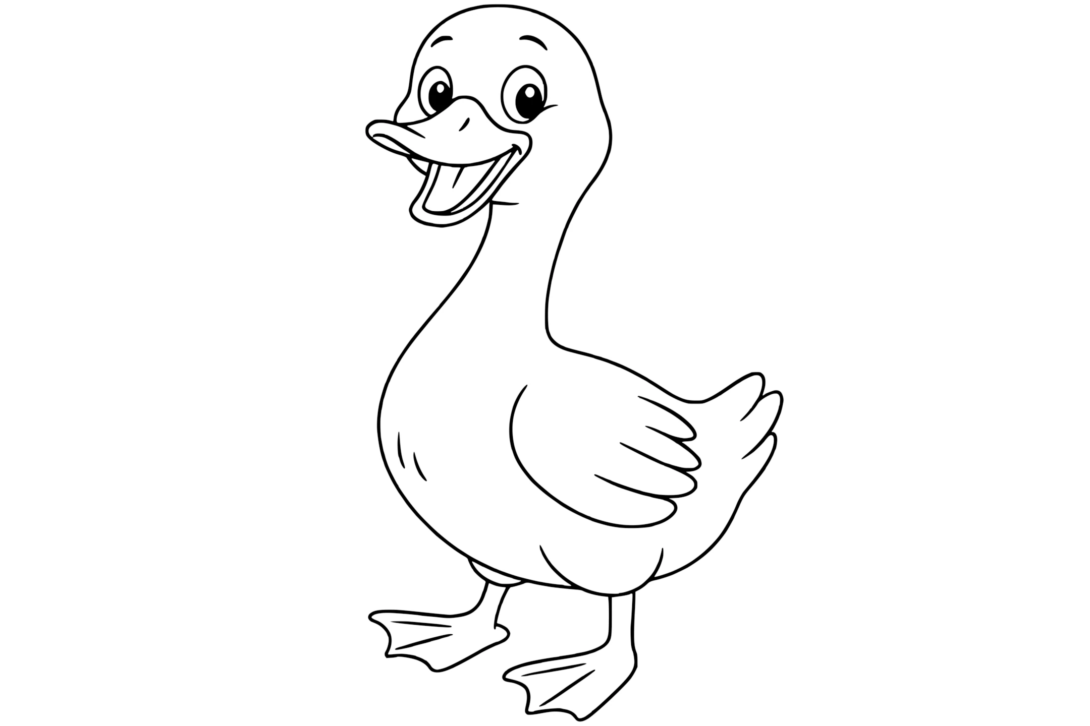 Goose with a wide beak, rounded wings, webbed feet, and a short tail.