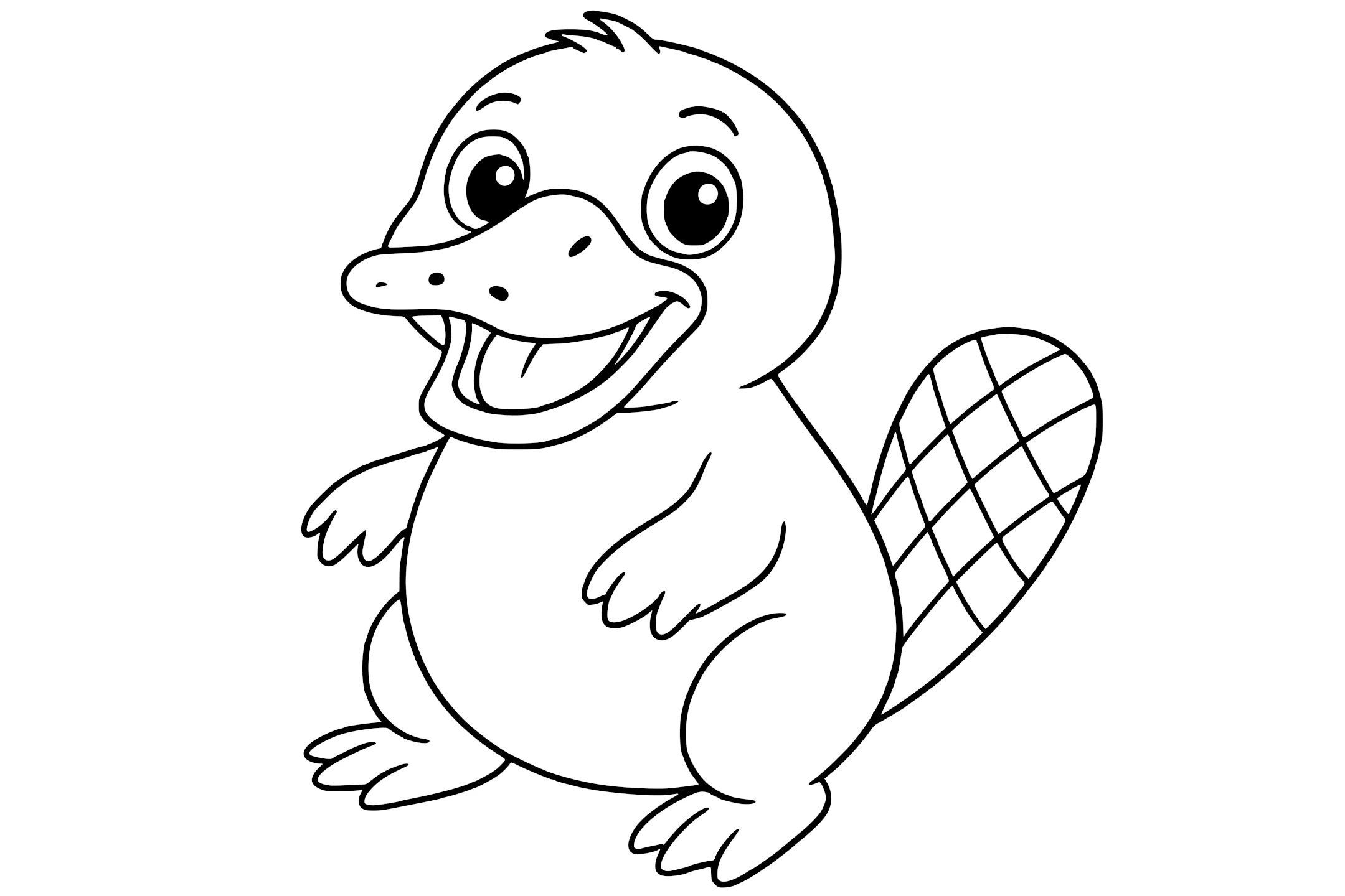 Platypus with a wide bill, round belly, four limbs, and a flat tail with crisscross lines.