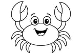 Crab with large claws, round eyes on stalks, and eight curved legs.