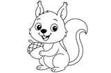 Squirrel with big eyes, fluffy tail, pointy ears, and holding an acorn.