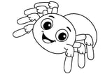 Tarantula with eight fluffy legs, large round eyes, and a big body.