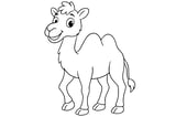 Camel with two humps, four legs, a tufted tail, and big eyes.