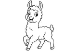 Llama with fluffy fur, upright ears, four legs, and a short tail.
