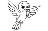 Hummingbird with wide open wings, a long pointed beak, and small feet.