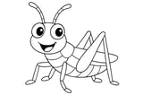 Grasshopper with big eyes, long antennae, six legs, and folded wings.