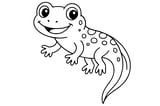 Newt with large eyes, spotted back, four legs, and a long curled tail.