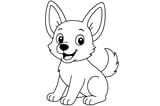 Dingo sitting upright with large ears, fluffy tail, and wide eyes.