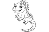 Iguana with a striped tail, spiky crest along its back, four legs, and round eyes.