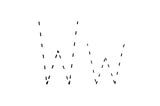 Dashed outline of uppercase W and lowercase w in the center on a white background.