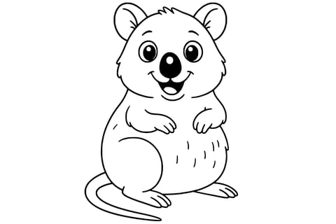 Quokka with rounded ears, a big nose, small paws, and a long tail.